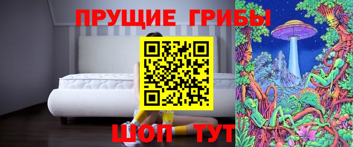 Псилоцибиновые грибы Psilocybine cubensis  Вход с VPN  Донецк 