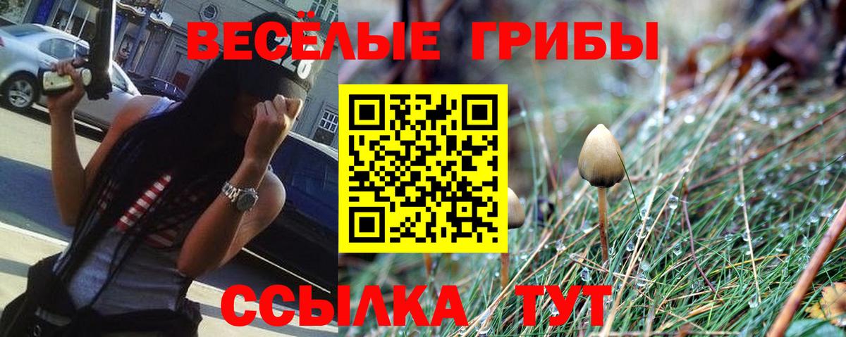 Псилоцибиновые грибы прущие грибы Донецк